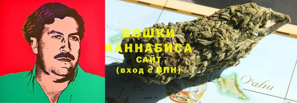 ешки Грязовец