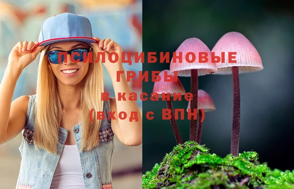 ешки Грязовец