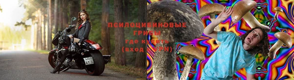 молекула духа Костерёво